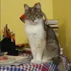 Отзыв от Альбина Шевцова